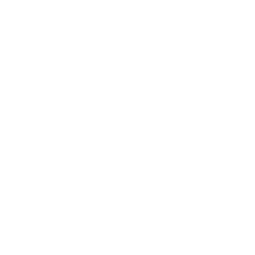 Cisco 360 Partner Program – Fast Lane